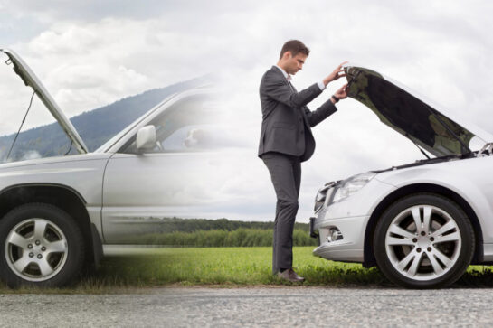 Story of the single race